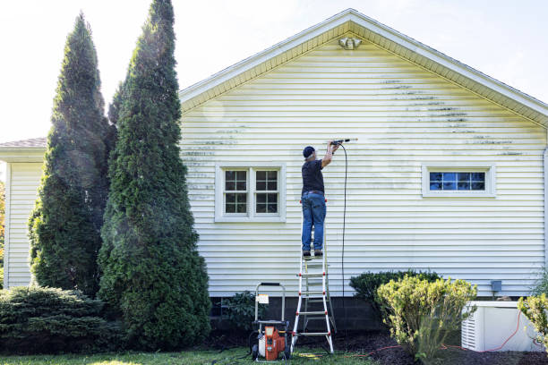 Best Residential Pressure Washing Services  in Wild Peach Village, TX